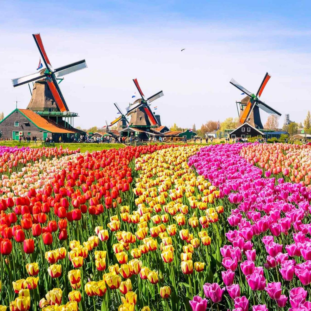 https://www.saraybosnaturizm.ba/wp-content/uploads/2018/09/destination-netherlands-01-1280x1280.jpg