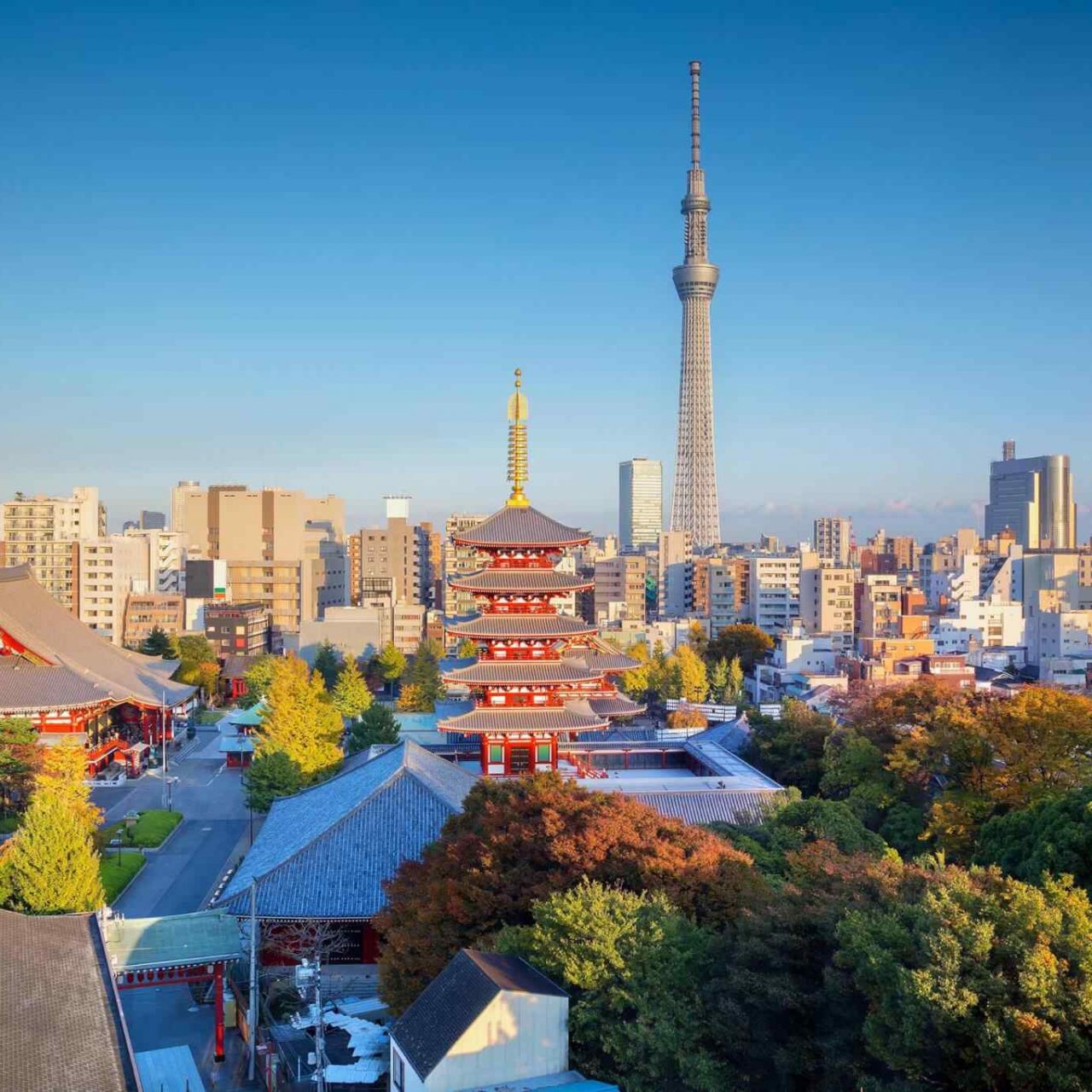 https://www.saraybosnaturizm.ba/wp-content/uploads/2018/09/destination-tokyo-04-1280x1280.jpg